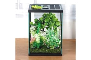crapelles Black Small Vertical Insect GlassTerrarium, 7.8x7.8x10.8'' Reptile Tank, for Tarantula Larvae Caterpillar Frog Snai