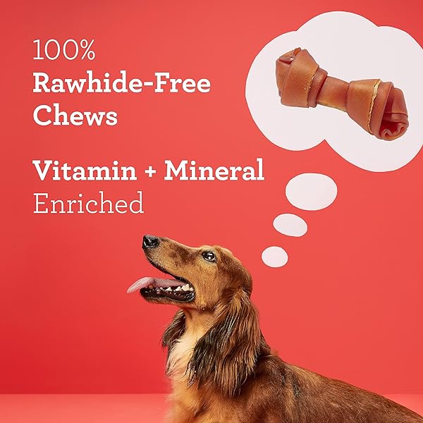 DREAMBONE MINI CHEWS, MADE WITH REAL BEEF, RAWHIDE-FREE CHEWS FOR DOGS, 24 COUNT