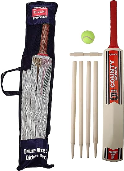 DIVCHI Kids Cricket Set Wooden Bat Stumps Ball in Mesh Bag Size 5 Age 8-12