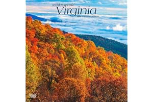 Virginia Wild & Scenic | 2026 12 x 24 Inch (Hanging) Monthly Square Wall Calendar | Plastic-Free | BrownTrout | USA United States of America Southeast State Nature