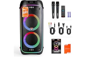THE PLATINUM KARAOKE BRING MUSIC TO YOUR LIFE The platiunm DK65 Party Speaker Karaoke Systems for Adults with 2 Wireless Microphone and Bass/Treble Adjustment LED Lights with 23K+ Songs, Song Recording, Songbook, for Outdoor & Home