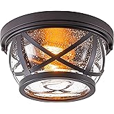 Bronze Flush Mount Ceiling Light Fixtures, 2-Light Ceiling Mount for Industrial with Seeded Glass Lampshade, Modern Flush Mou