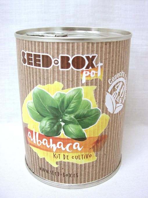 Pocket Garden SeedBox POT - Albahaca: Amazon.es: Hogar