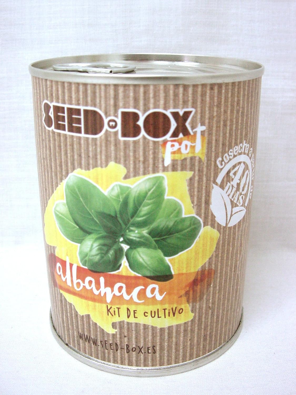 Pocket Garden SeedBox POT - Albahaca: Amazon.es: Hogar