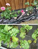 WOHOHOHO Heavy Duty Landscape Weed Control Fabric 3.3ft x 33ft 1m x 10m view 6