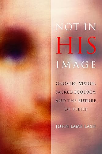 Download Not in His Image: Gnostic Vision, Sacred Ecology, and the Future of Belief PDF