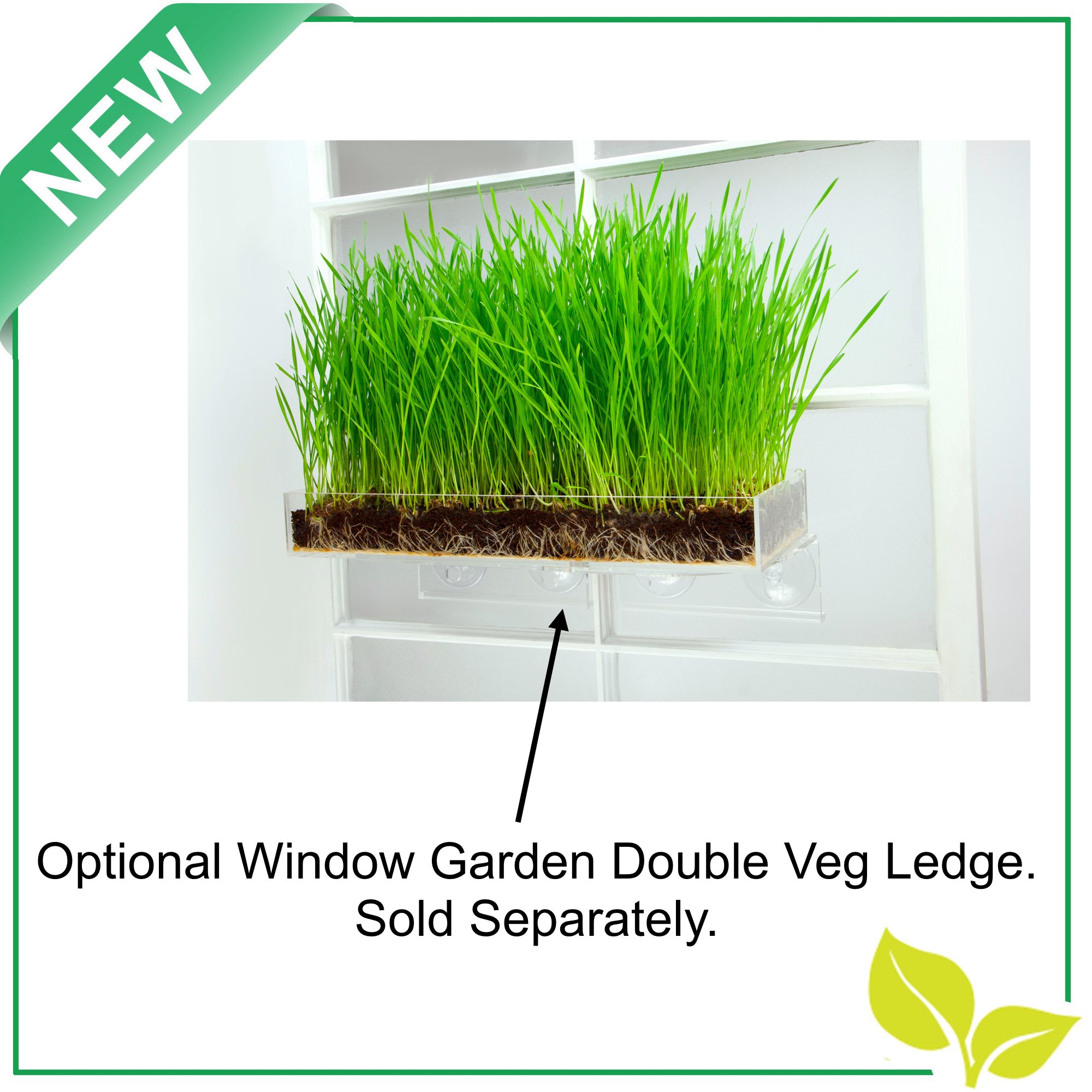Microgreen Organic Wheatgrass 3 Pack Refill KIT PreMeasured Soil