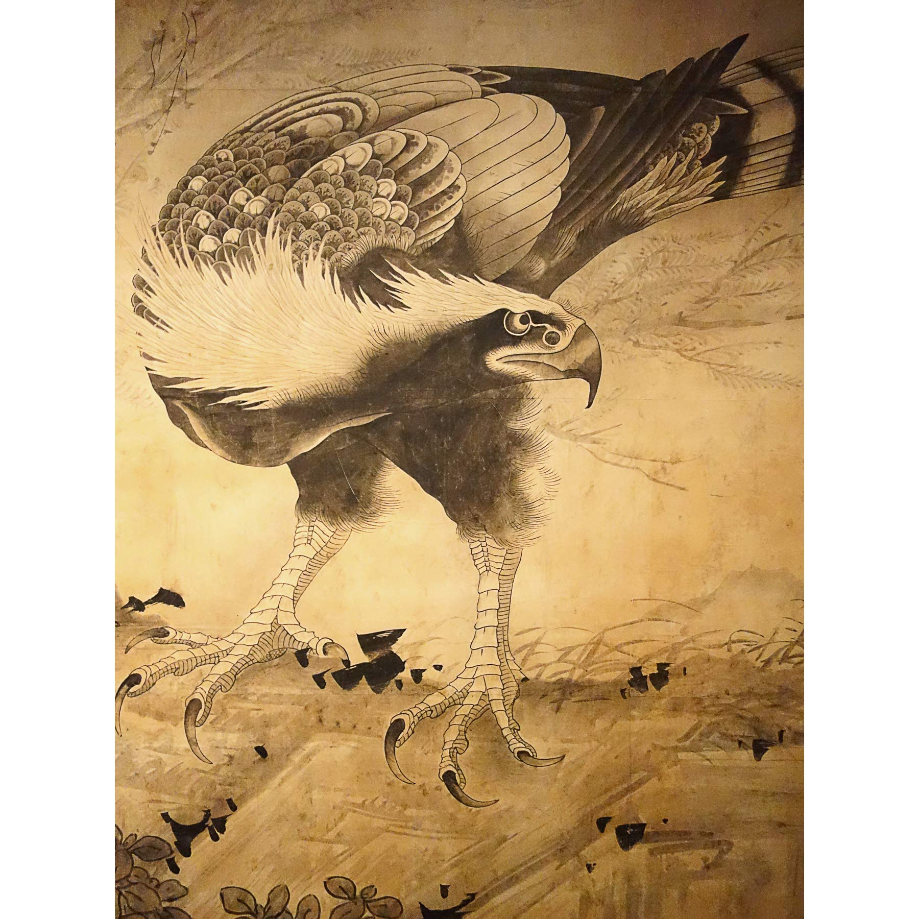 Shohaku Hawk Bird Japanese Painting Premium Wall Art Canvas Print 18X24 Inch