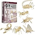 Hands Craft DIY 3D Wooden Puzzle – 6 Assorted Insects & Arachnids Bundle Pack Brain Teaser Puzzles Educational STEM Toy Adults and Kids to Build Safe and Non-Toxic Easy Punch Out Premium Wood JP2B9