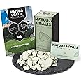 Natura Uralis Ural Clay | 7oz Natural Green Clay, Pastel to Verdant Green - Crunchy, Earthy, Velvety Texture, ASMR Sensation
