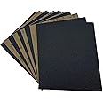 AutKerige 100 Grit Wet Dry Sanding Sheets,9 x 11 Inch Sandpaper-10PCS Premium Silicon Carbide Sand Paper for Wood Metal Ceramic or Auto Polishing and Scratches Removing