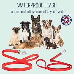 Randstark Biothane Waterproof Durable Dog Leash