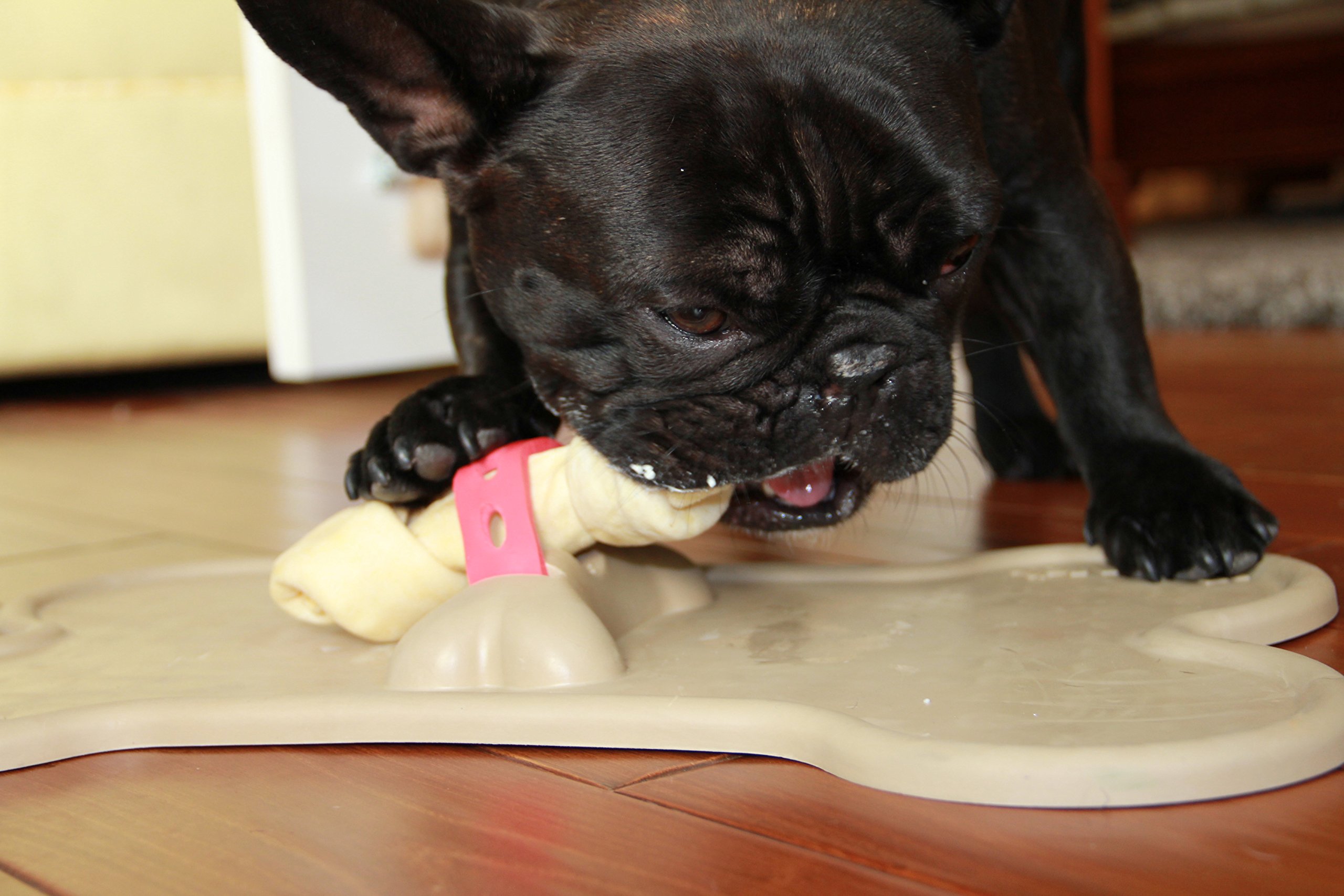 Bone Mat Dog Bone Holder Buy Online in UAE. Pet Supplies Products