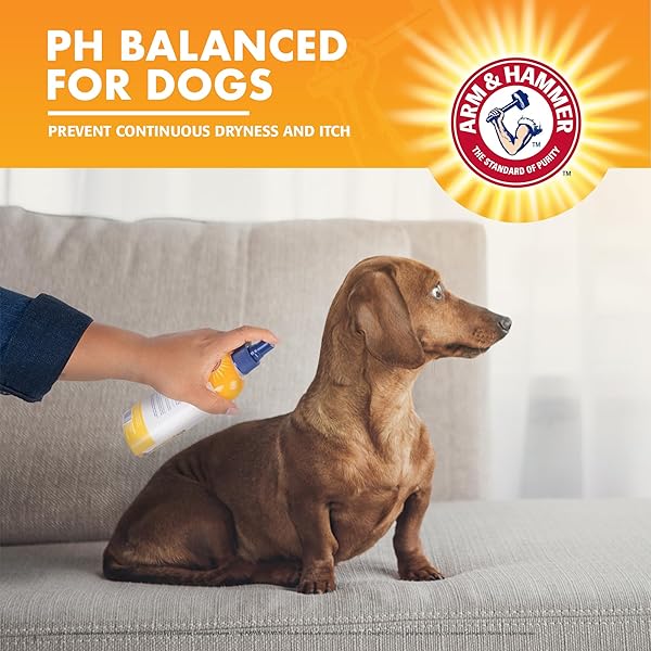 ARM & HAMMER FOR PETS ITCH RELIEF SPRAY FOR DOGS, SOOTHING DOG SKIN SPRAY TO HELP CALM ITCHY AND IRRITATED SKIN AND HOT SPOTS BETWEEN BATHS, CHAMOMILE & PEPPERMINT SCENT, 8 FL OZ