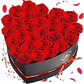 Impouo Preserved Rose in Heart Shape Box, 27 Forever Flowers, Eternal Roses, Birthday Gifts for Women, Wife, Her, Mother's Day -Red