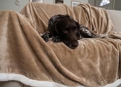 MyPillow Pet Blanket