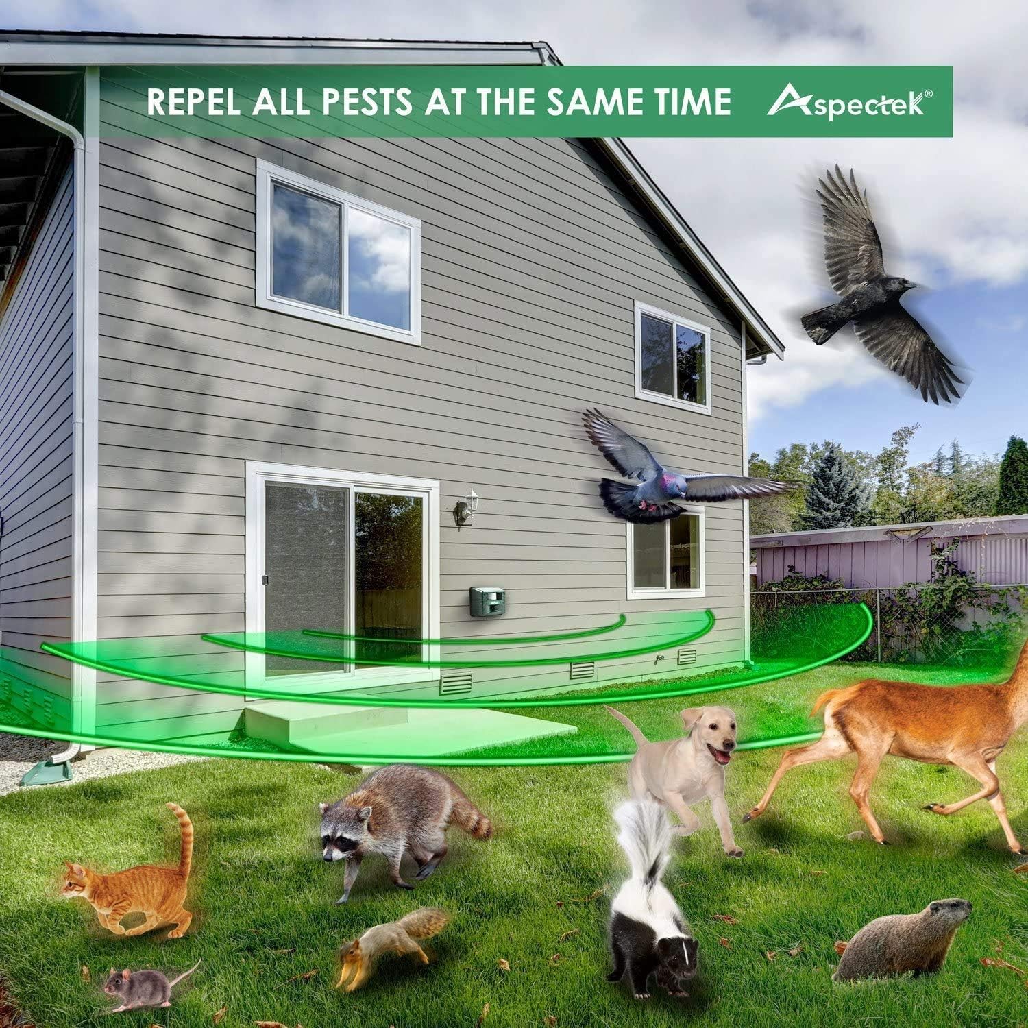 Aspectek Upgraded Powerful Yard Sentinel, Outdoor Electronic Pest Animal Ultrasonic Repeller, with Ac Adaptor, Extension Cord For Rat, Mouse, Deer Raccoon Rabbits Birds : Home Pest Repellents : Garden & Outdoor