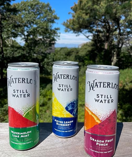 WATERLOO STILL WATER, DRAGON FRUIT PUNCH NATURALLY FLAVORED PURIFIED WATER | 12 FL OZ CANS (PACK OF 12) – ZERO CALORIES AND ZERO SUGAR OR SWEETENERS