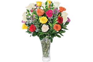 AQUAROSSA FARMS 4 Dozen Assorted Roses Bouquet, Best Next-Day Fresh Flower for Delivery Prime, Ideal for Birthdays, Get Well Gift for Women, Anniversary, Sympathy, Congratulations, Thank You, Just because