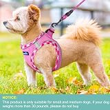 haapaw Dog Harness and Lead Set No Pull Adjustable Reflective Step-in Vest view 4