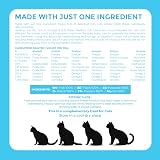 Pawfect Treats Pawfect Nature's Feast Freeze-Dried Fish Cat Treats 50g view 5