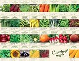 Garden Pack Grand Seed Growing Kit 30 Varieties Indoor Garden Gift view 3