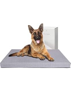 you & me orthopedic and memory foam mat