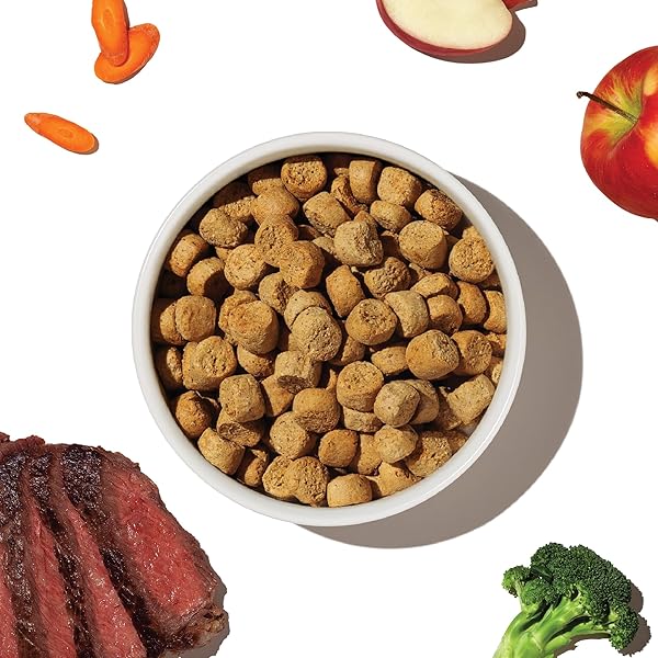 THE HONEST KITCHEN WHOLE FOOD CLUSTERS GRAIN FREE BEEF DRY DOG FOOD, 5 LB BAG