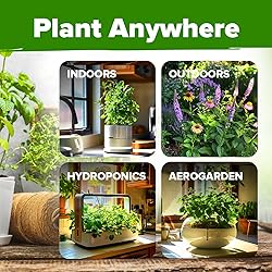 HOME GROWN Medicinal Herb Seeds Vault