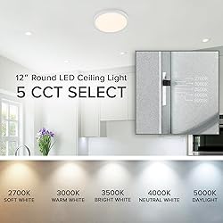Maxxima 12 in. LED Flush Mount Ceiling Light