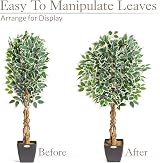 CHRISTOW 4ft Artificial Ficus Tree Variegated PEVA Leaves Wooden Trunk view 6