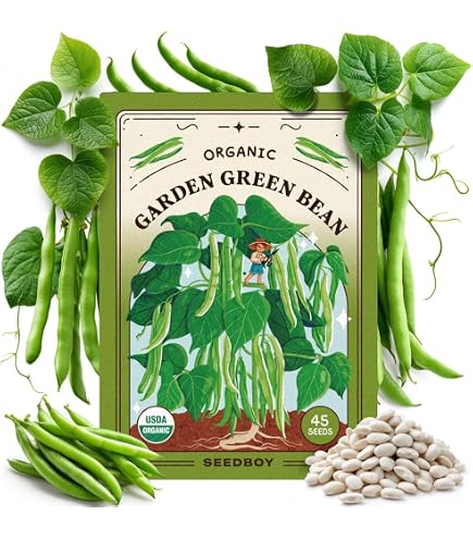 Bean - Burpee's Stringless - Bush - Get Great Value, Give to a