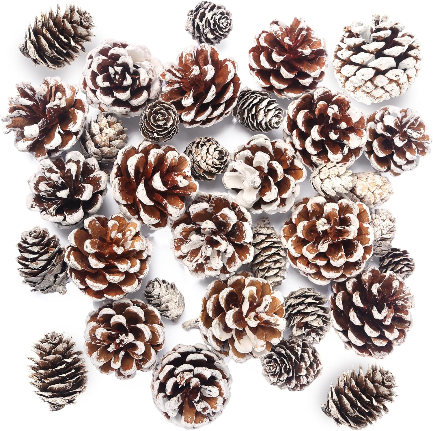 Vase Fillers - BigOtters 30PCS Snow Pine Cones Bulk, Natural Pine Cones for Craft Christmas Snow Pine Cone Ornaments for Xmas Tree Wreath Fall Winter Holiday Decorations
