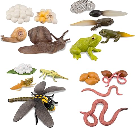 Amazon Toymany 動物フィギュアセット 川の動物フィギュア 成長サイクル カエル 養殖場 農場動物 動物モデル リアルな動物模型 おもちゃ 動物フィギュア 誕生日プレゼント クリスマス コレクション カタツムリ トンボ ミミズ ６歳以上 ロボット 子ども向けフィギュア