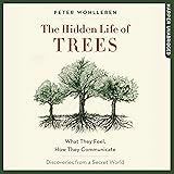 The Hidden Life of Trees: What They Feel, How They