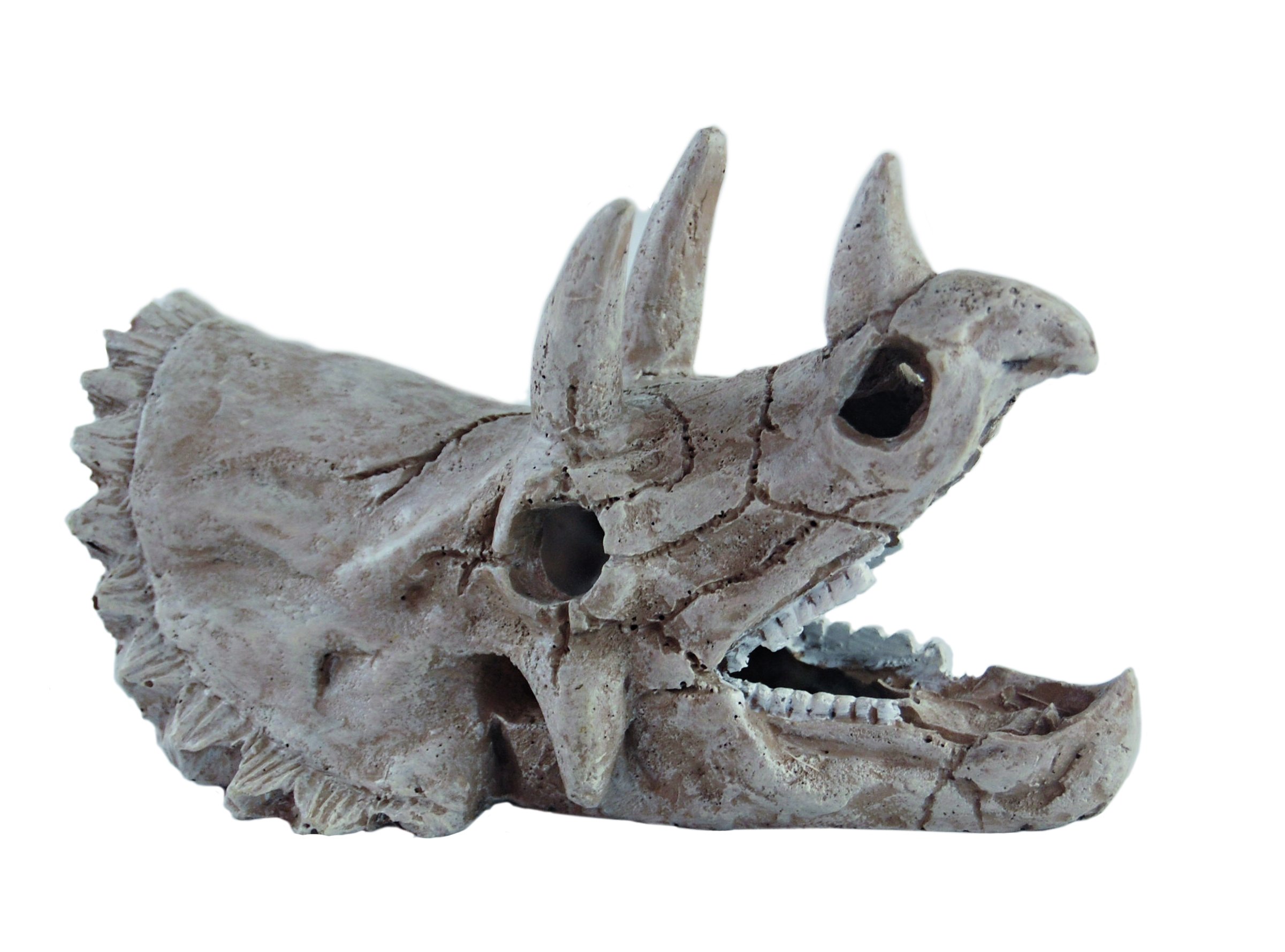 Haquoss Aquarium Decor Ornament Tryceratops Skull