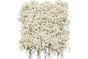 Patemby Mini Bulk Dried Babys Breath Flowers 3 Inch, Small Babies Breath Flowers Gypsophila Craft Dried Pressed Flowers for Resin Art Craft, DIY Wedding Invitations Scrapbooking (100/Ivory White)