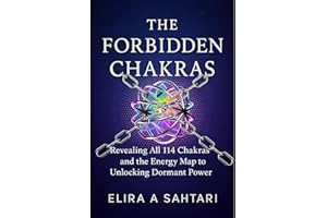 THE FORBIDDEN CHAKRAS: Revealing ALL 114 Chakras and The Energy Map to Unlocking Dormant POWER