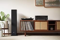 Sony PS-LX310BT Belt Drive Turntable: Fully
