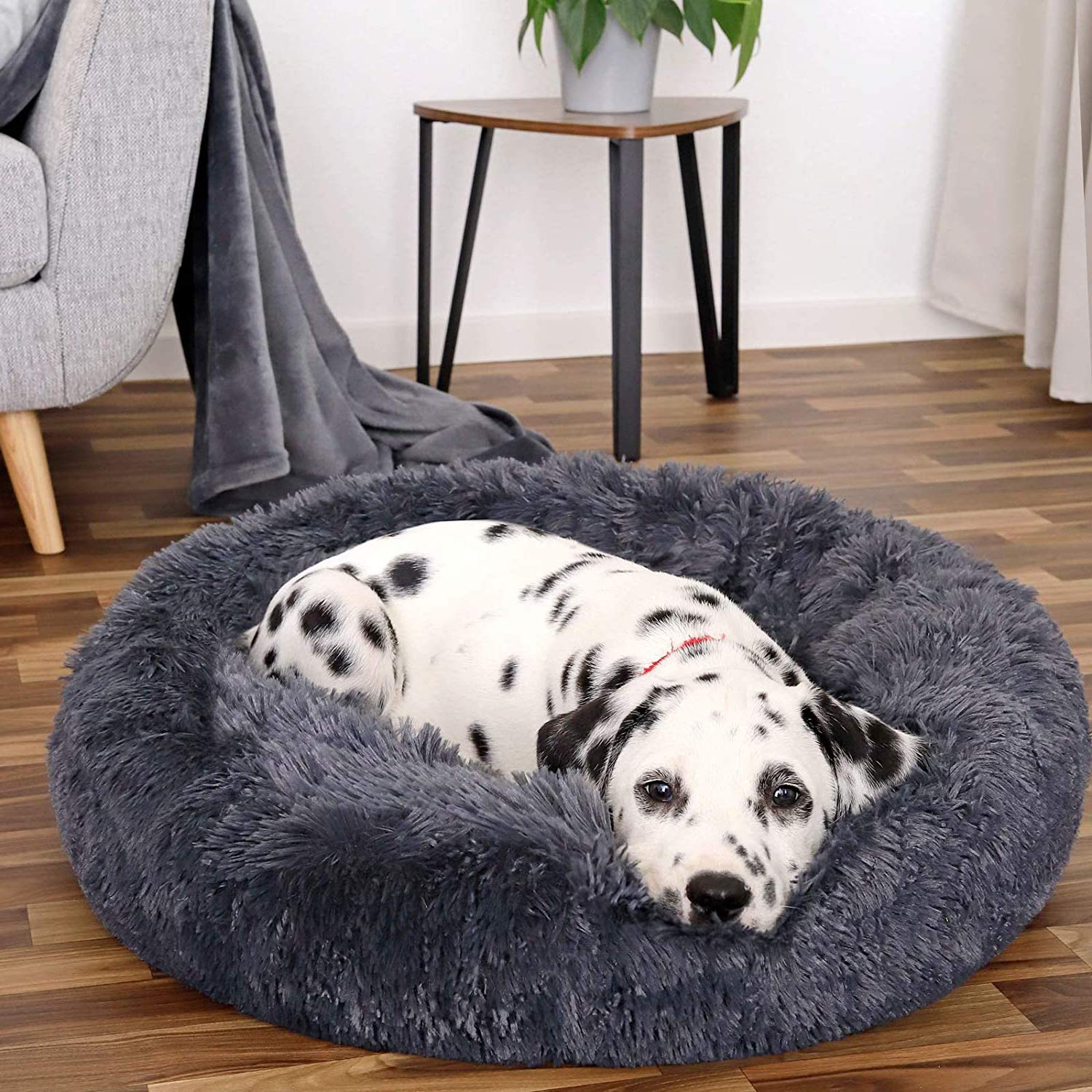 SKRORS Plush Donut Dog Bed-Calming Small Pet Bed for Dogs Cats Kittens and Puppies, Washable (60, Dark Grey)