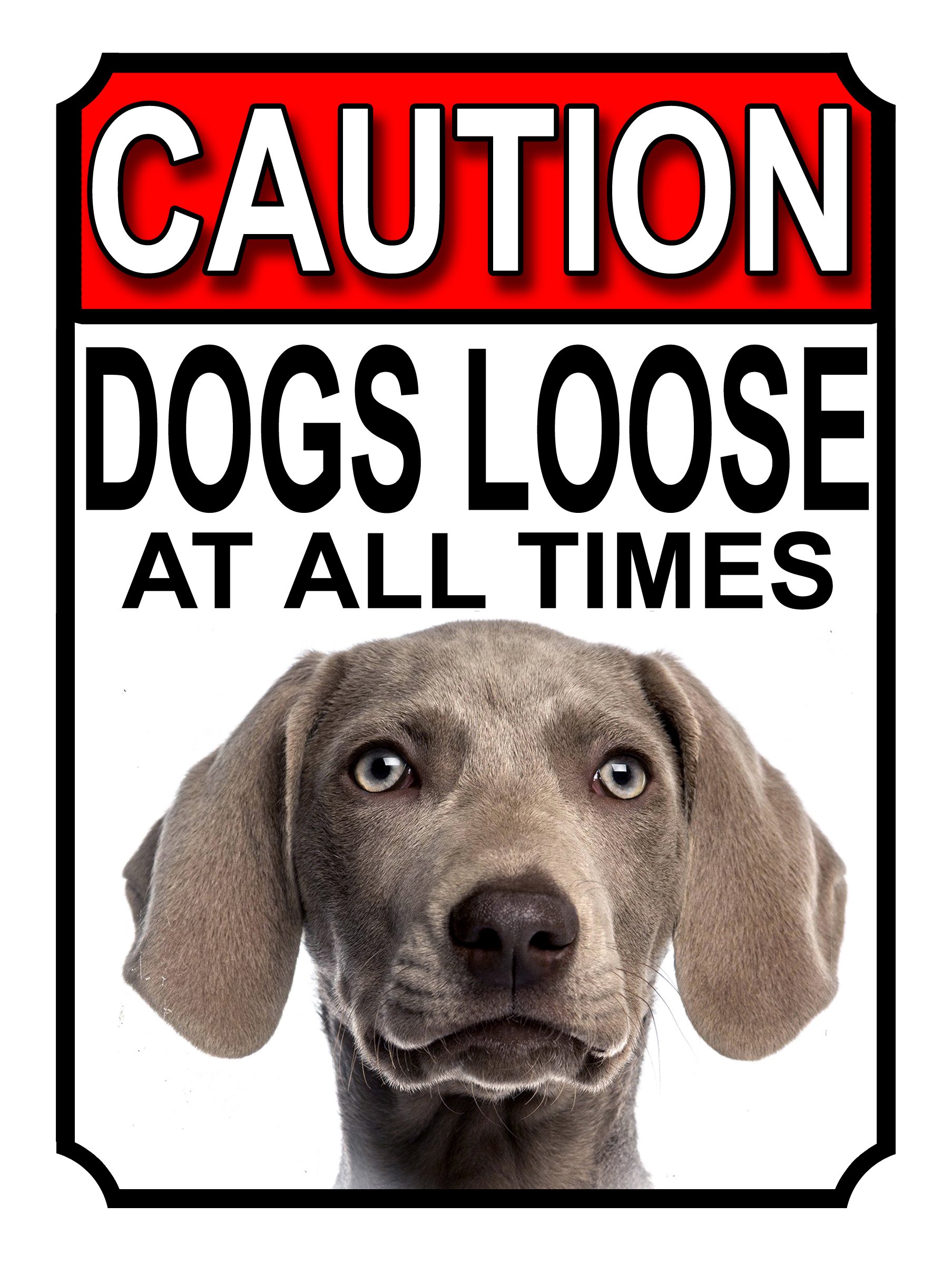 SHAWPRINT CAUTION DOGS LOOSE AT ALL TIMES METAL GATE SIGN WEIMARANER 200MM X 150MM (1224H1) — image 1