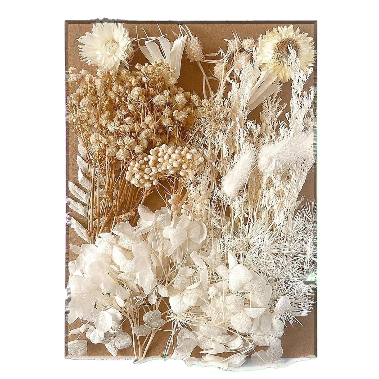 Pressed Flowers, Dried Flower for Crafts White Dry Flowers Craft Flowers Mixed Real Dried Pressed Flowers for DIY Art Crafts Scrapbooking Resin