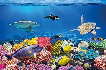 Buy Undersea Coral Reef Photo Wall Paper Aquarium Fish Sea Mural