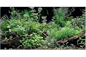 Dizifinn Aquatic Plant Aquarium Background, River Bed & Lake Tropical Undersea Tree BranchFish Tank Background, 6 EVA Double-Sided Tapes 36x18 inches/90x45