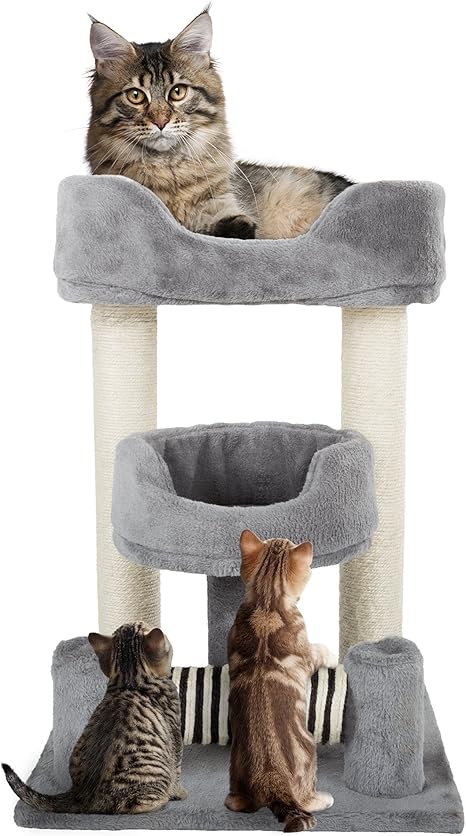 2 tier cat tree