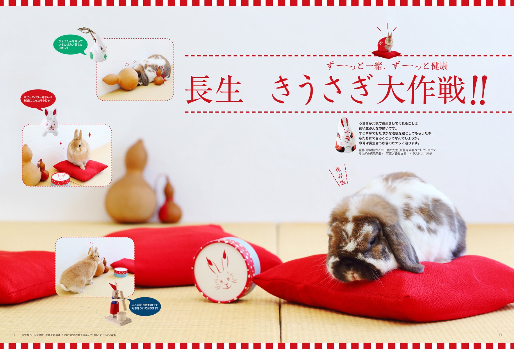 うさぎの時間 No 16 あなたとうさぎとの時間をもっとハッピーにする Seibundo Mook うさぎの時間編集部 本 通販 Amazon