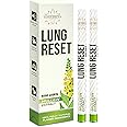 Lung Detox Mullein Diffuser Pen | Natural Mullein Leaf | Lung Health & Detox | Herbal Mullein Diffuser Pen 600 Uses - 2 - Pack