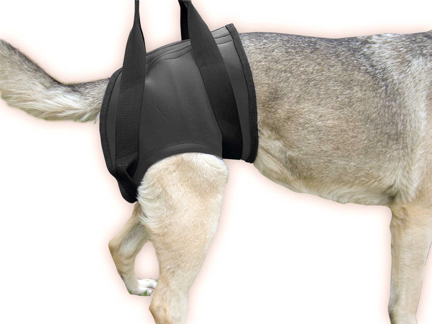 Julius-K9 Rehabilitation Harnesses Size: M Hind Hip circumference 