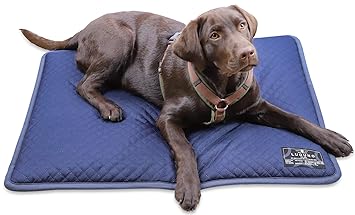 LUGUNO® Waschbare Hundedecke Blau I Größe M & S I Outdoor I für Katzen & Hunde geeignet I Hundekissen Hundematte