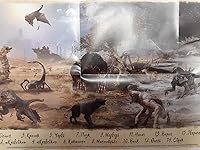 Review Image by Alex Alex